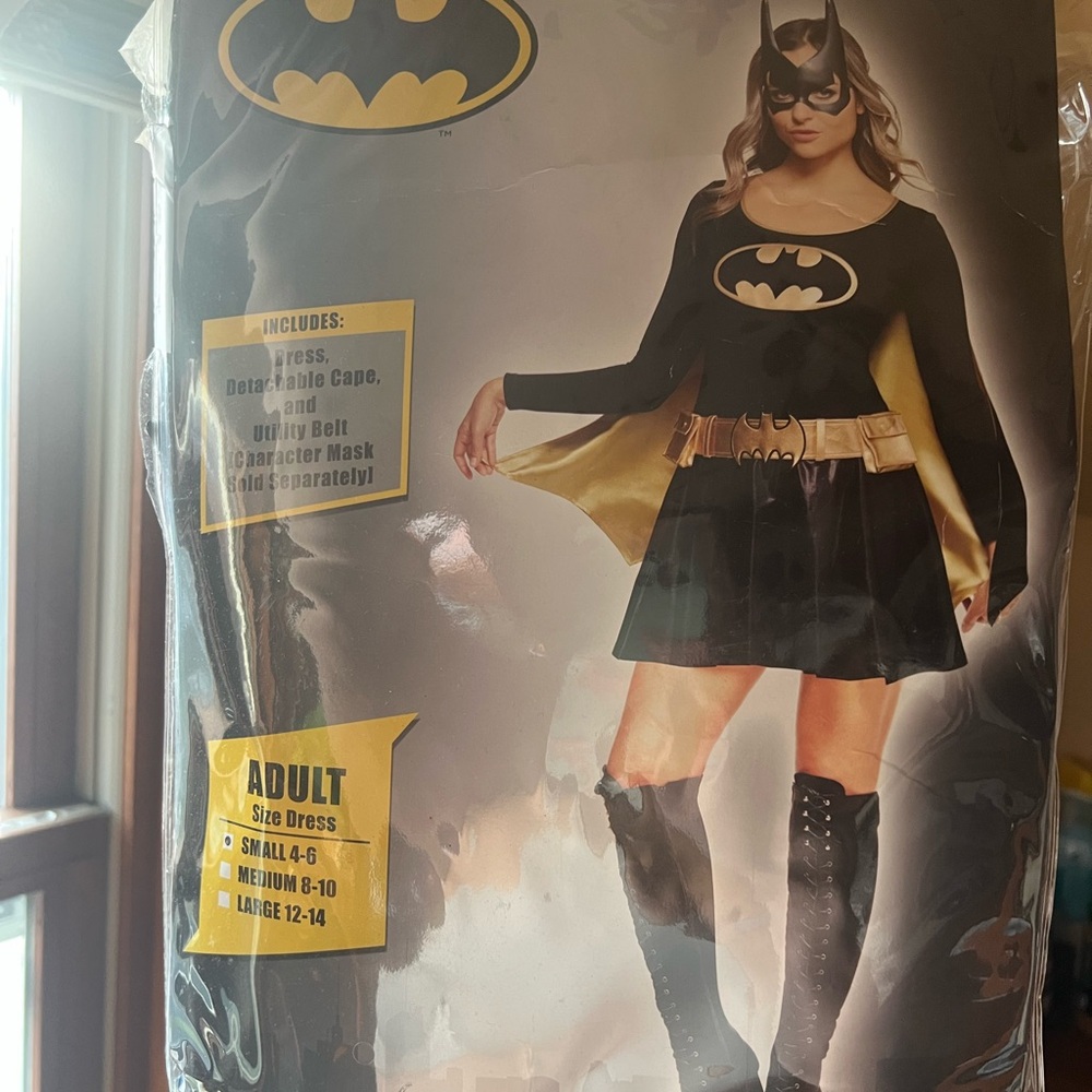 Batgirl Halloween Costume - Black and Gold